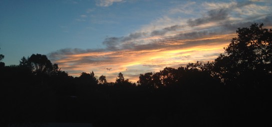 My last California sunrise for a while, photo by Daniel.