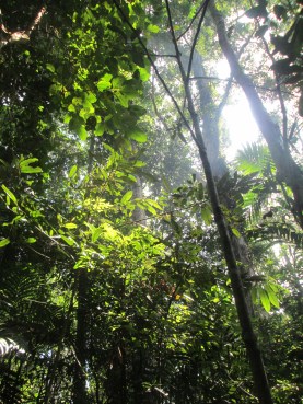 Welcome to jungle, we take it day by day...