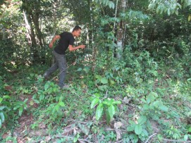 Can you find the whip snake? Our guide saw it from the truck while we were driving!