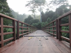 Empty bridges just feel so artsy...
